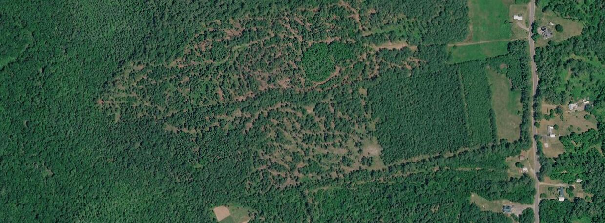 Lot 036 East Andover Road Rumford, ME 04276 - Photo 2 of 2 Lot 036 E Andover Rd