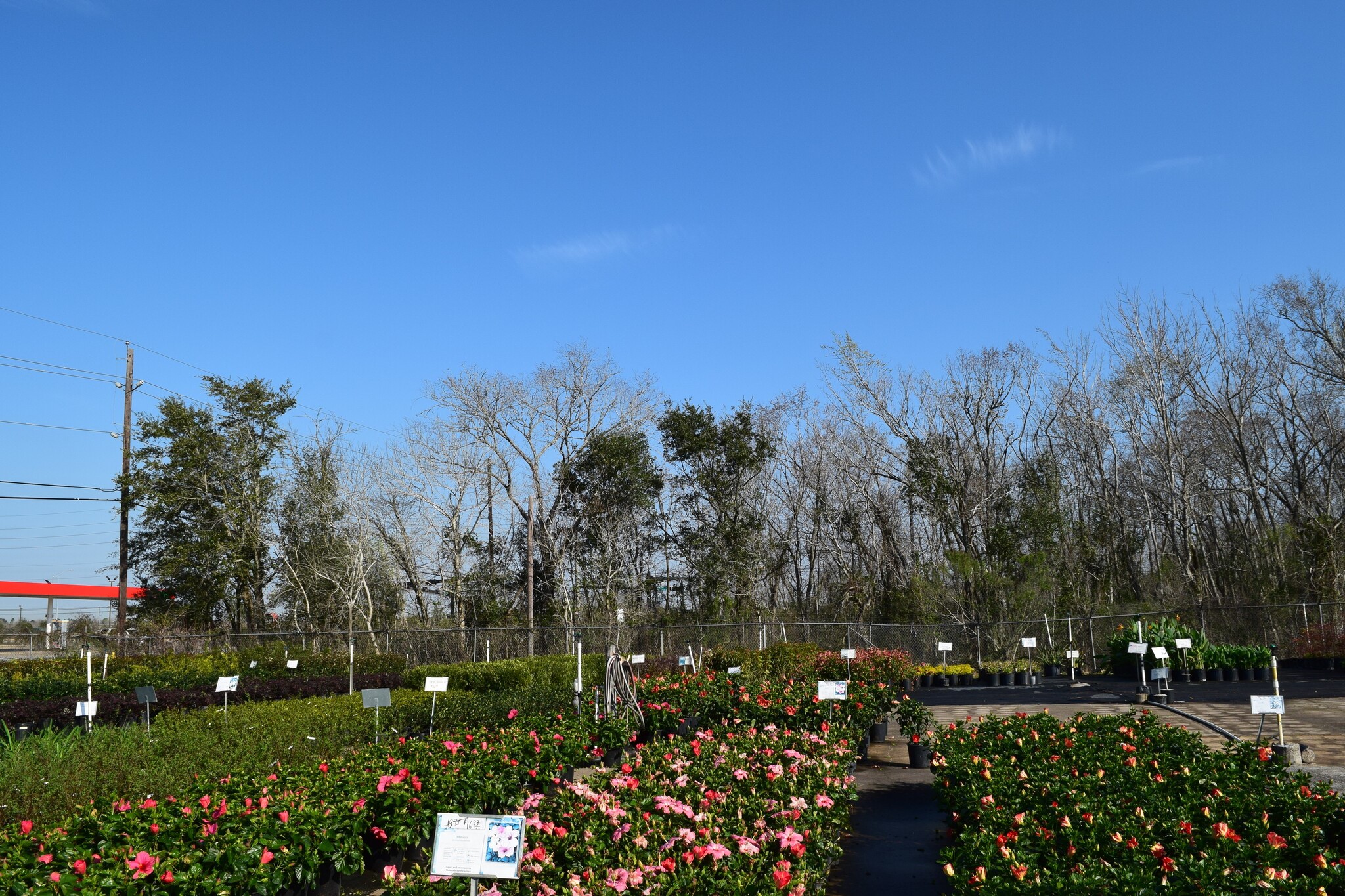 0 Bailey Road Pearland, TX 77584 - Photo 14 of 22 a view of a city and mountains