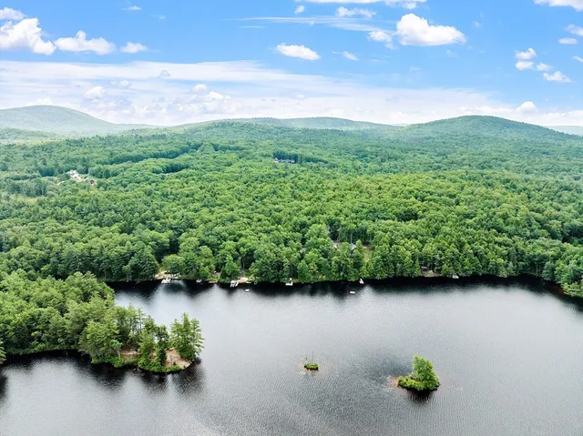 a plant that is in a garden