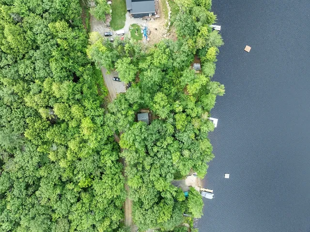 a view of a garden with a bench and some trees