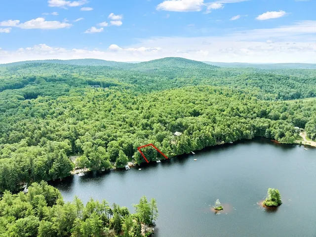 a view of a garden with a bench and some trees in the background