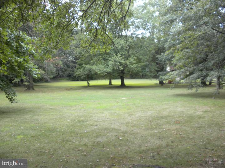 822 Township Line Road Chalfont, PA 18914 - Photo 14 of 14 Back Yard