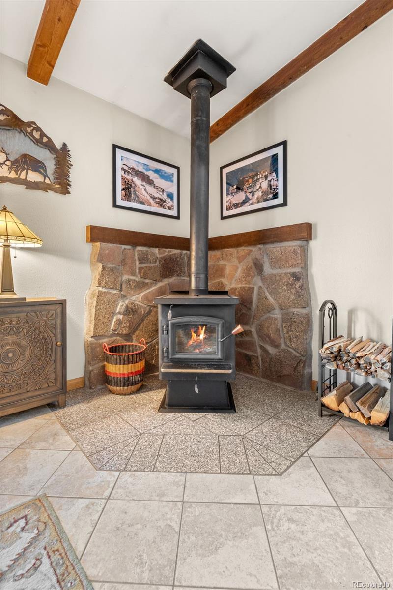181 Catamount Ridge Road Bailey, CO 80421 - Photo 16 of 47