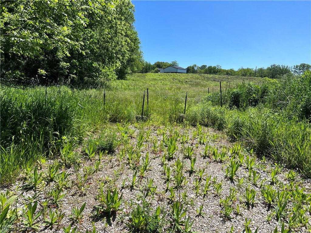 Shaw Road Spencer, OH 44275 - Photo 5 of 8