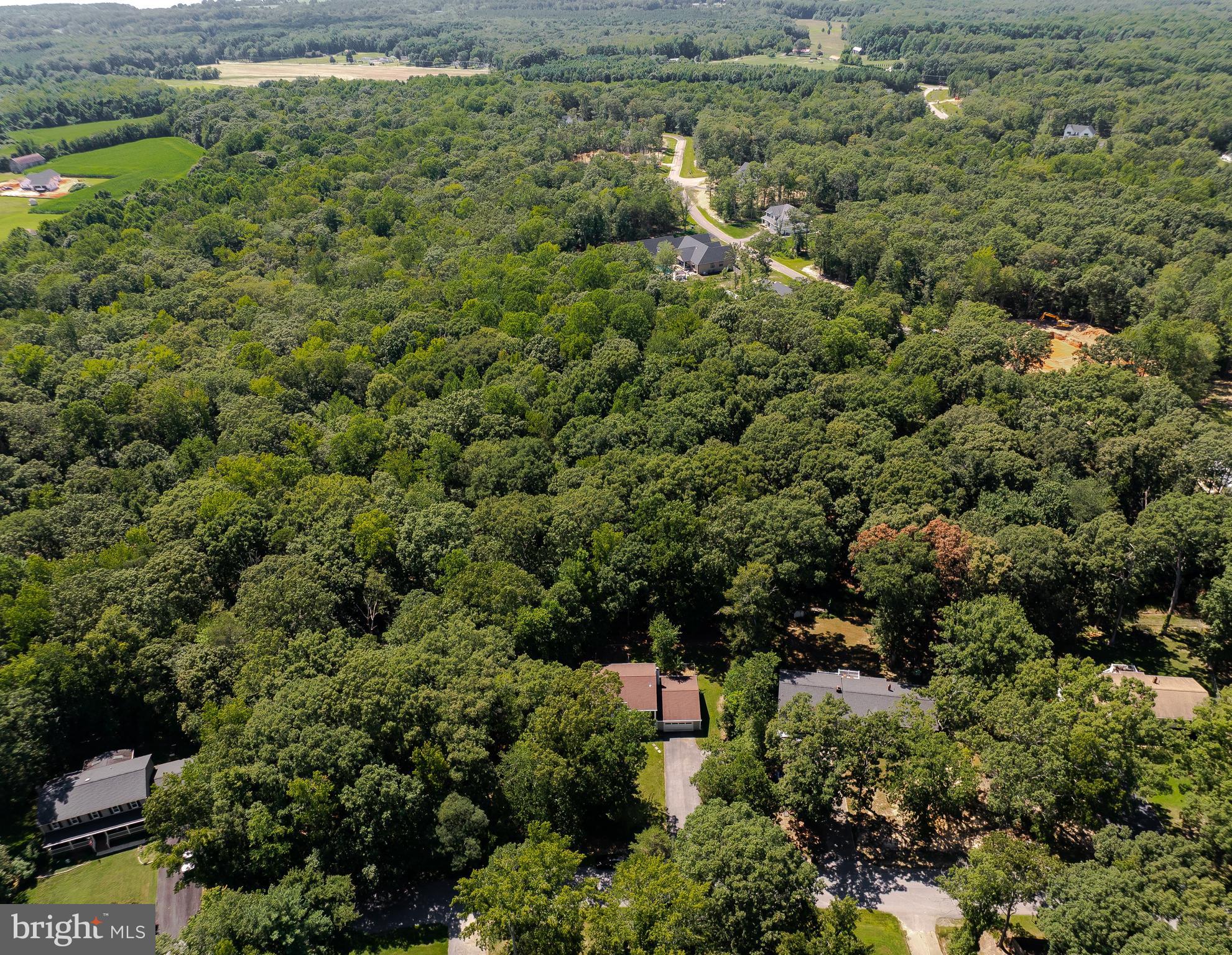 22373 Enoch Road Leonardtown, MD 20650 - Photo 69 of 74