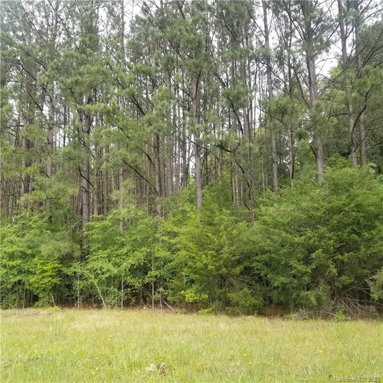 0 Valley View Mount Gilead, NC 27306 - Photo 2 of 4