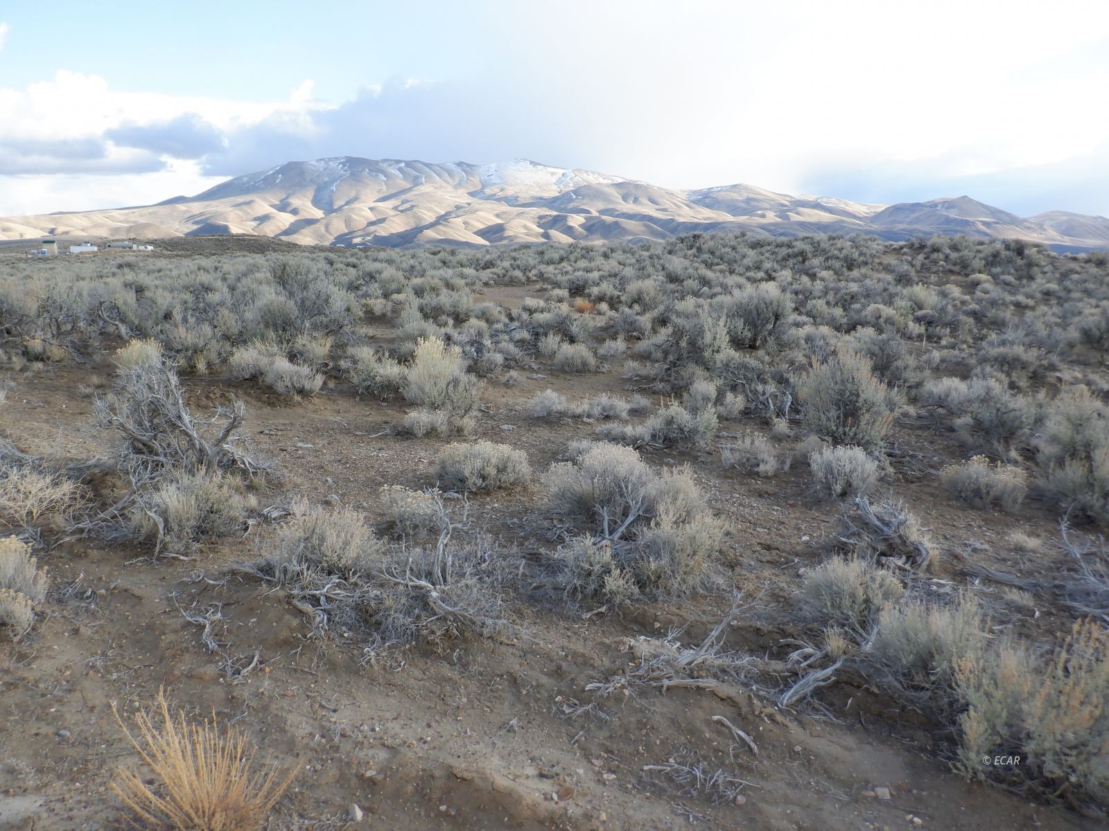 33-3 7th Street Elko, NV 89801 - Photo 4 of 15