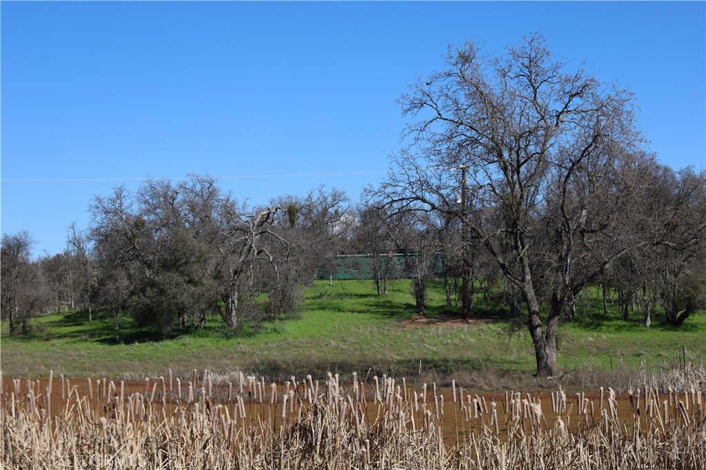 0 Douglas Road Coarsegold, CA 93614 - Photo 21 of 32