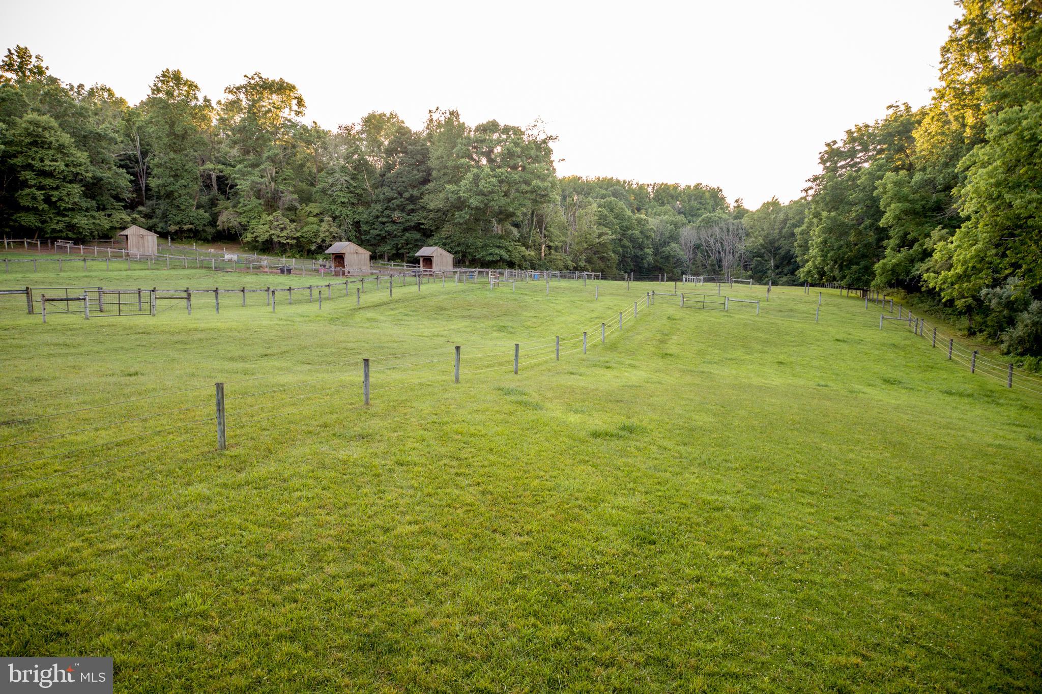 1379 Chestnut Ridge Road Upper Black Eddy, PA 18972 - Photo 8 of 93 Gallery Image 8