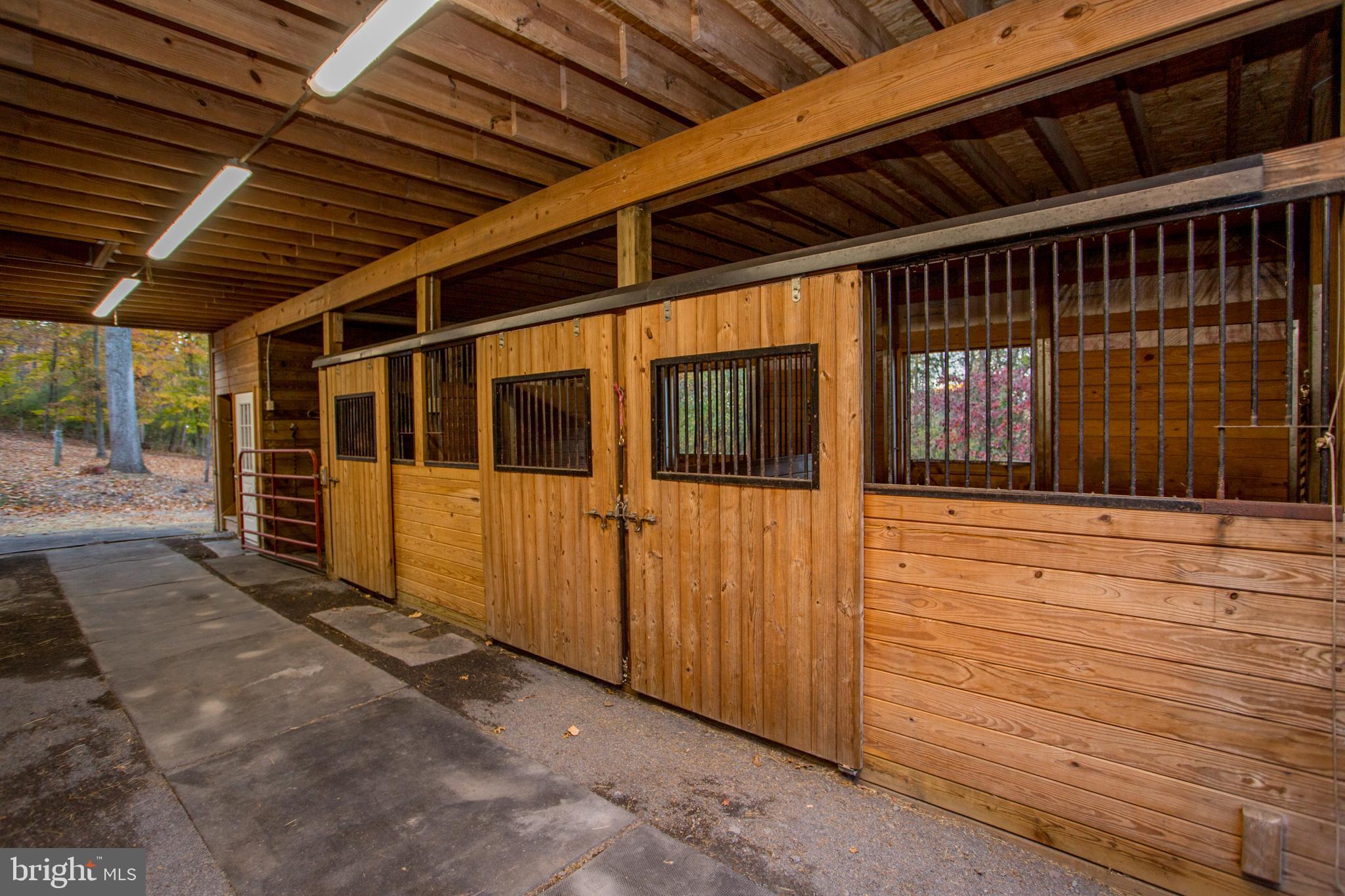 1379 Chestnut Ridge Road Upper Black Eddy, PA 18972 - Photo 86 of 93 Gallery Image 86