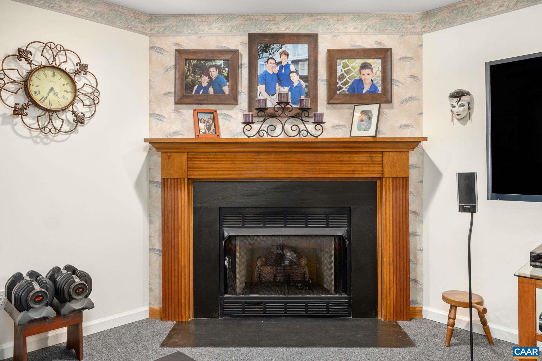 5 Dogleg Road Palmyra, VA 22963 - Photo 47 of 63 a living room with furniture and a fireplace