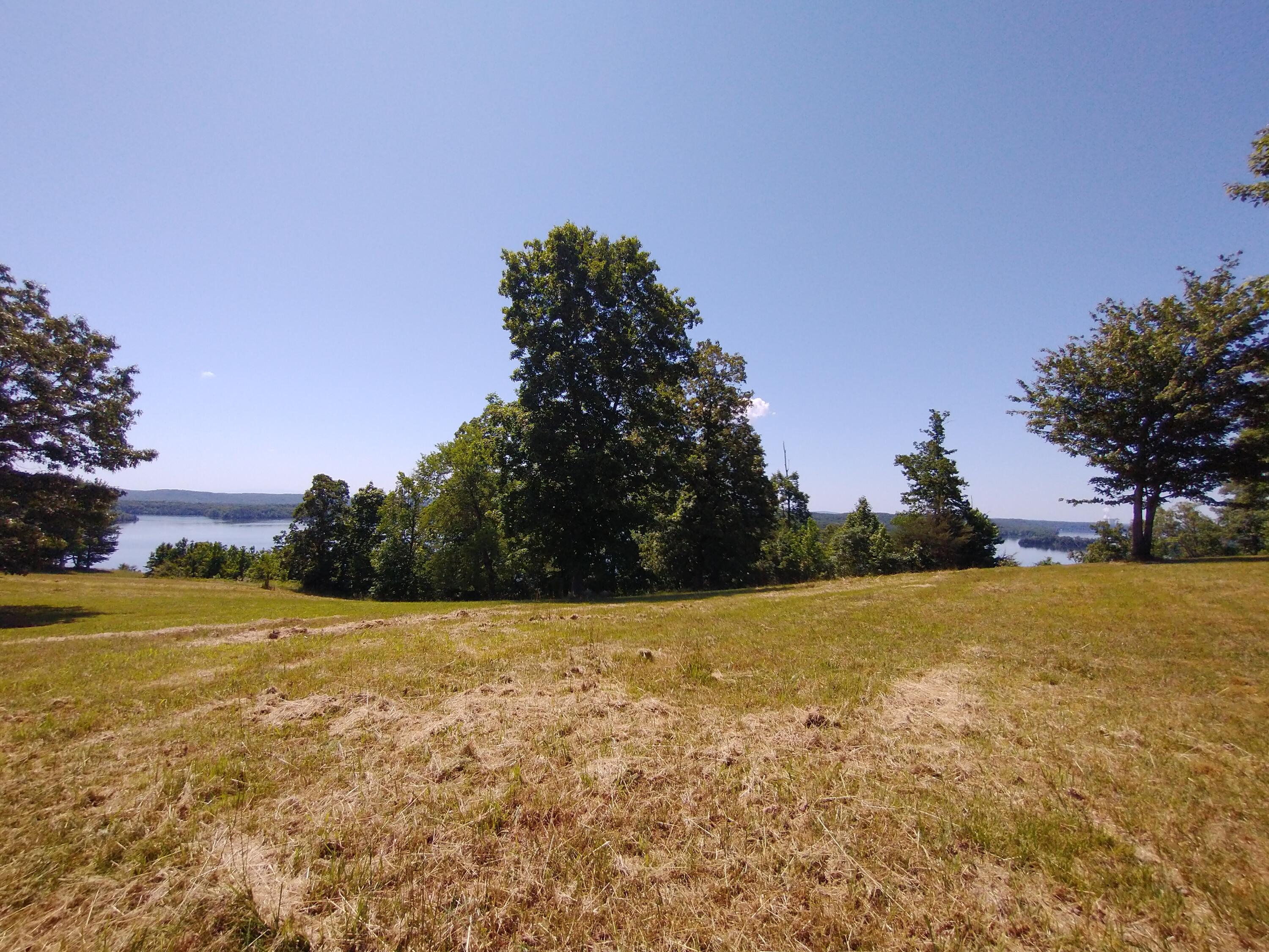 546 Hidden Forest Trail Spring Spring City, TN 37381 - Photo 15 of 29 BASEMENT LOT POTENTIAL