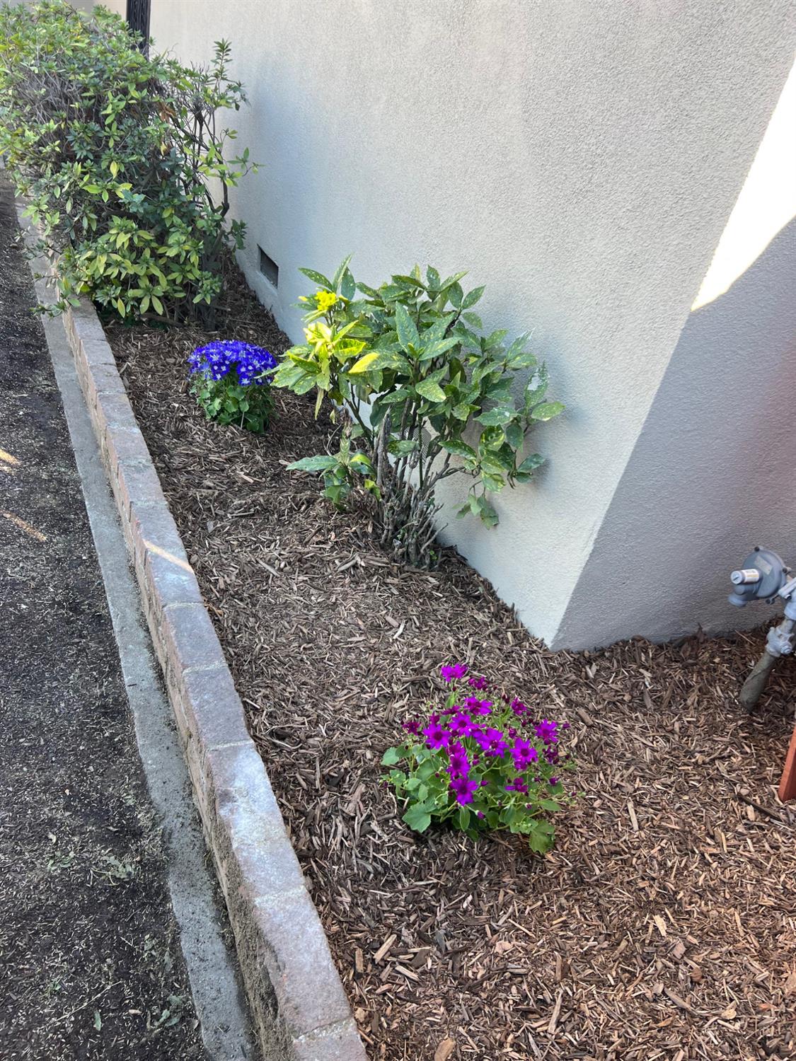 4324 East Richert Avenue Fresno, CA 93726 - Photo 25 of 26