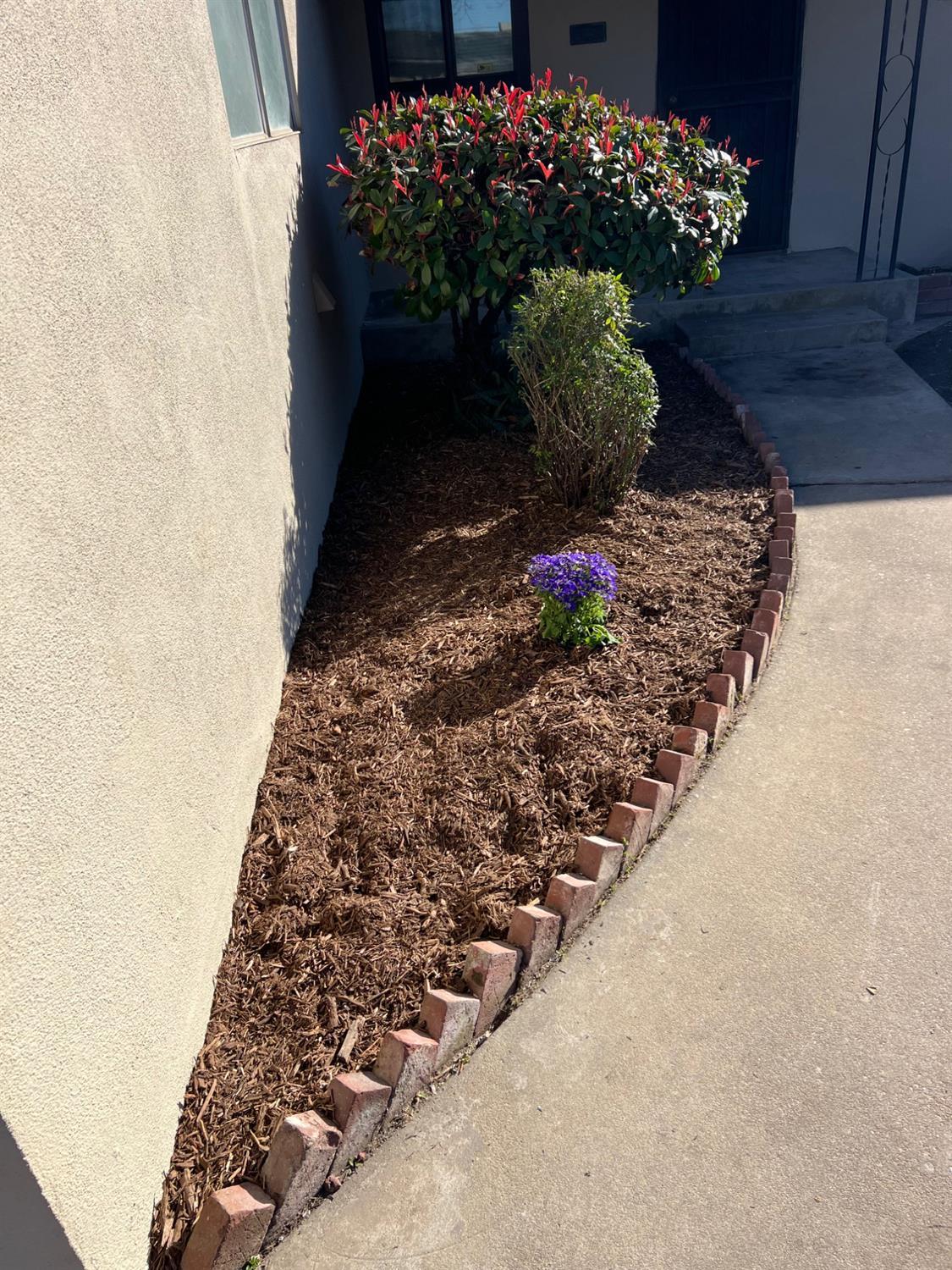 4324 East Richert Avenue Fresno, CA 93726 - Photo 5 of 26