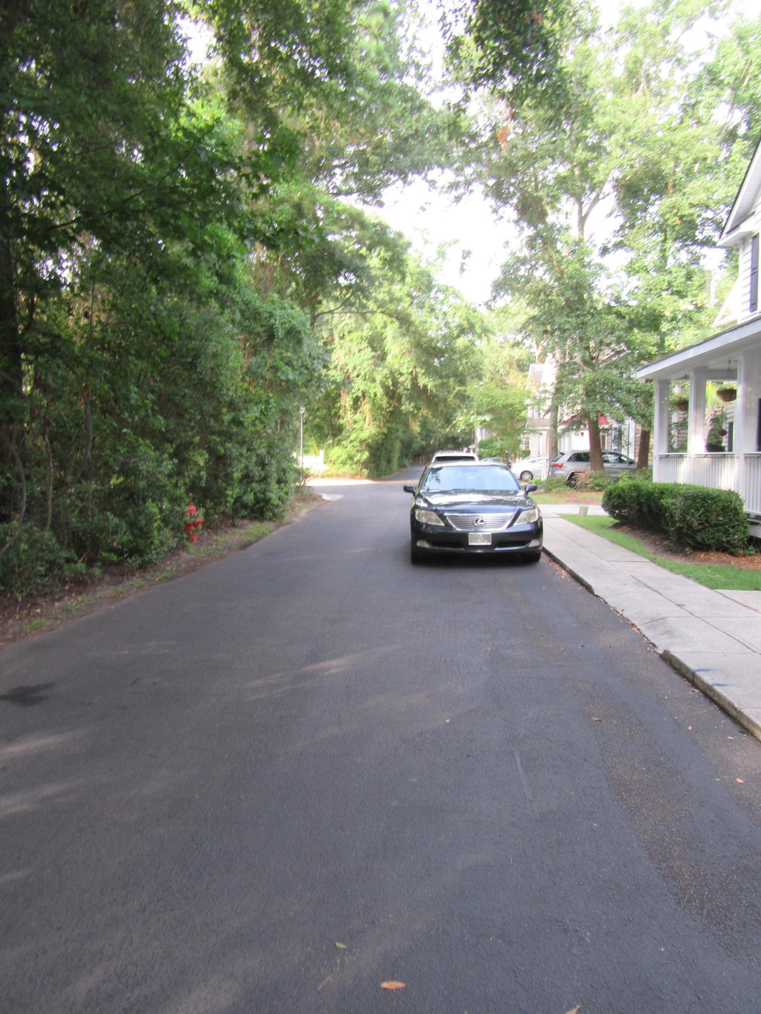 1085 Mathis Ferry Road Mount Pleasant, SC 29464 - Photo 63 of 67 IMG_0750