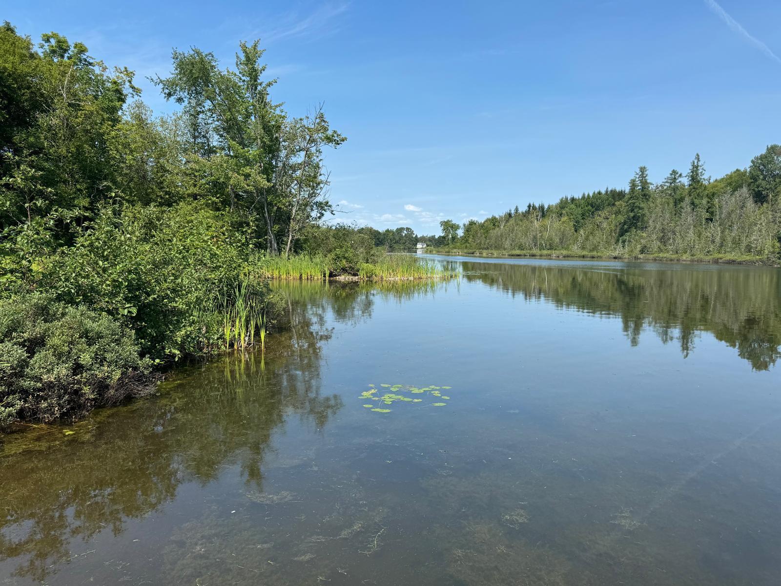 Undisclosed Address Presque Isle, ME 04769 - Photo 19 of 43 WhatsApp Image 2024-08-09 at 00.27.54 (4