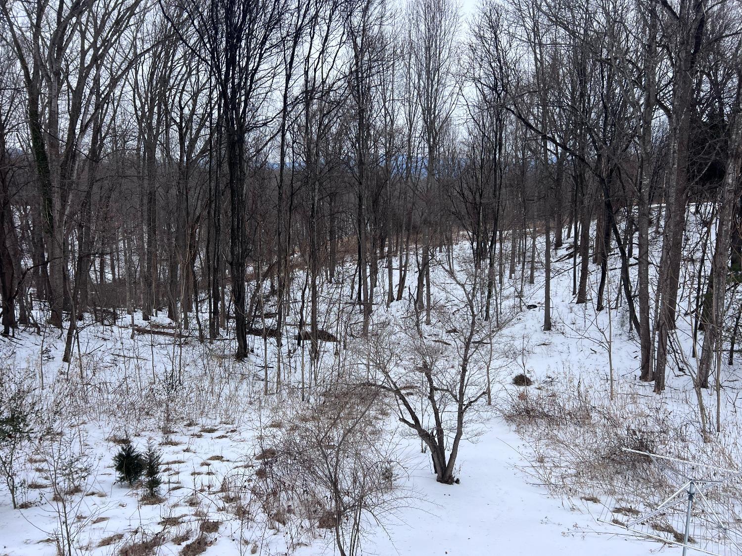 1194 Centerville Road Bedford, VA 24523 - Photo 16 of 18