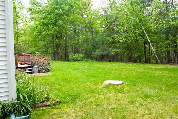 53 Wilson Road Belchertown, MA 01007 - Photo 5 of 22