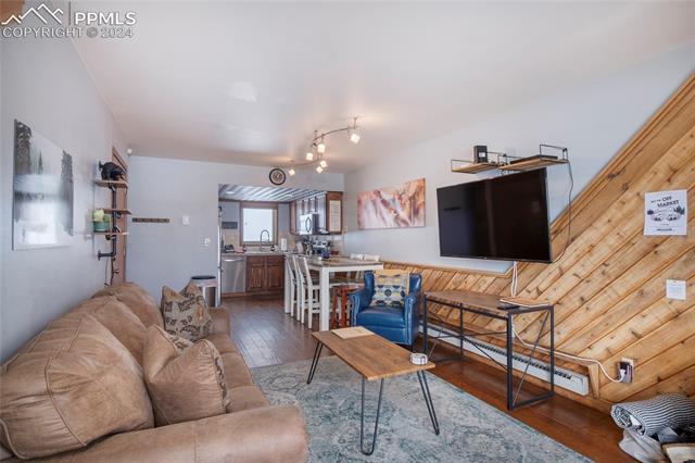 710 Gothic Road, Unit 1 Crested Butte, CO 81225 - Photo 15 of 25 Living room with sink, rail lighting, wood walls, a baseboard heating unit, and dark wood-type flooring