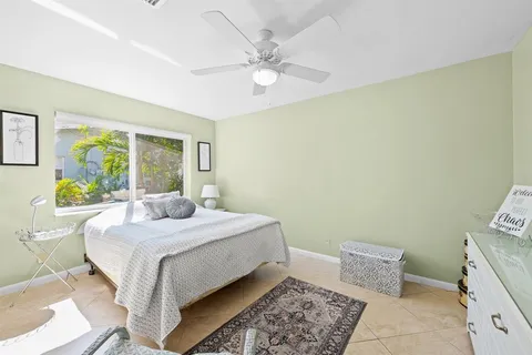 a view of a backyard with plants and a potted plants