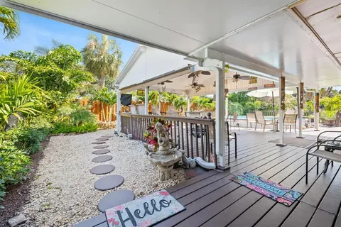 a view of a garden with plants and large trees