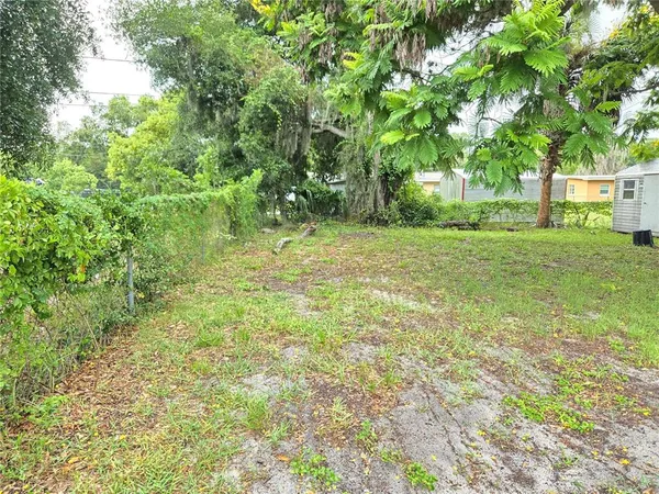 a view of a yard with a tree