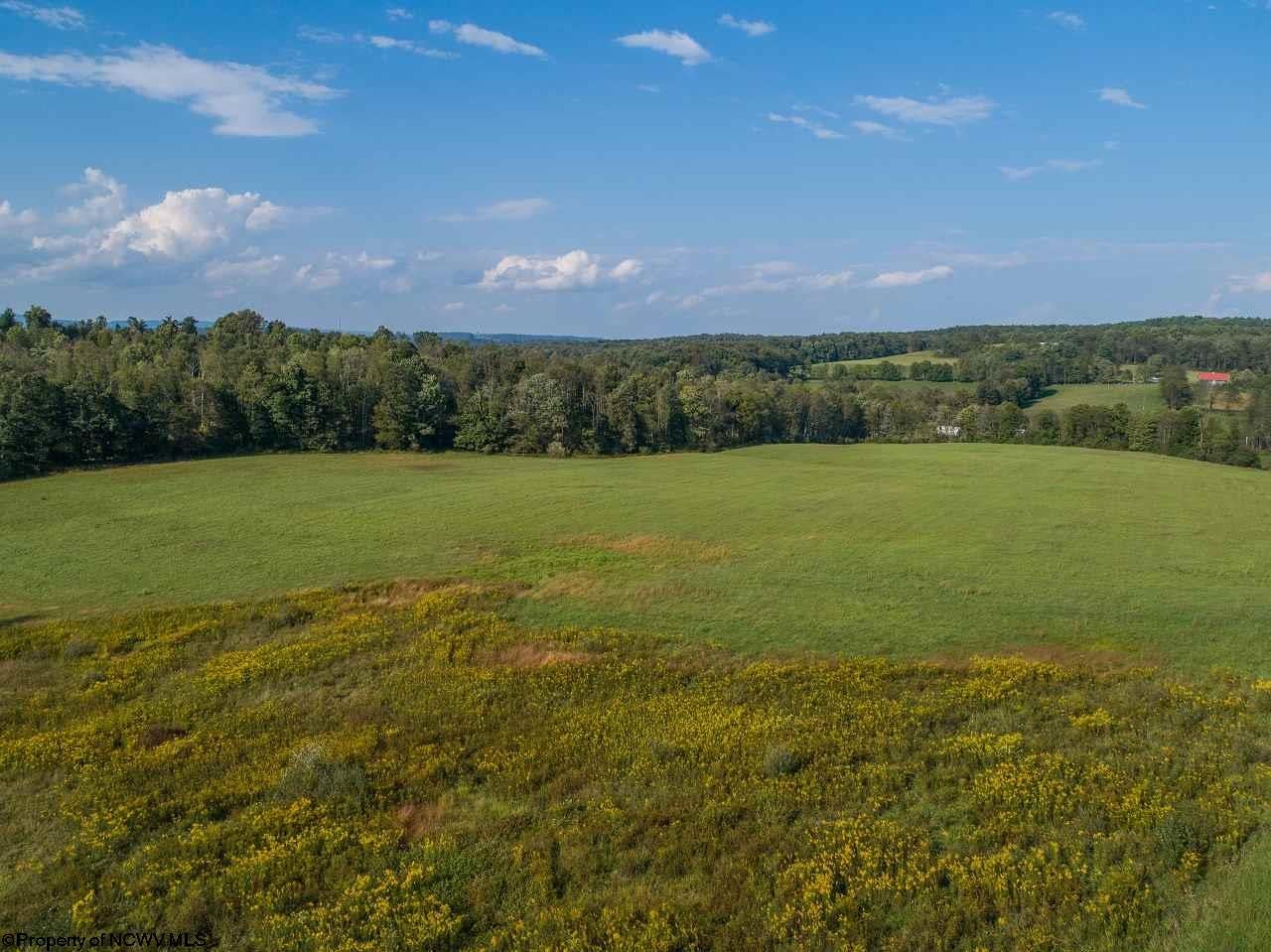 883 Little Sandy Road Bruceton Mills, WV 26525 - Photo 11 of 12 Gallery Image 11