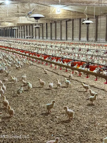 $1,295,000 | 31 John Thompson Road, Richton, MS 39476