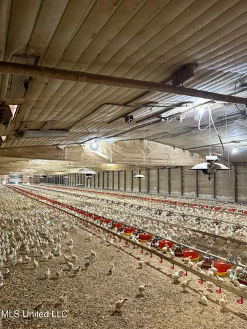 $1,295,000 | 31 John Thompson Road, Richton, MS 39476