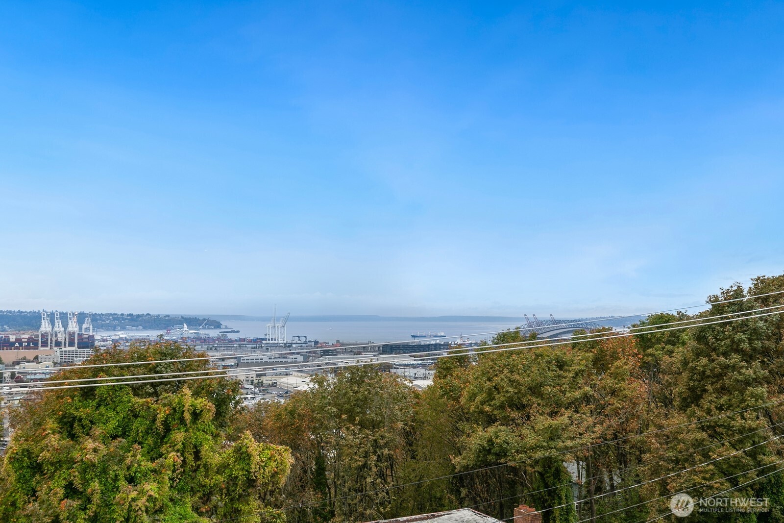 2408 13th Avenue South Seattle, WA 98144 - Photo 23 of 32 a view of a city with lots of trees