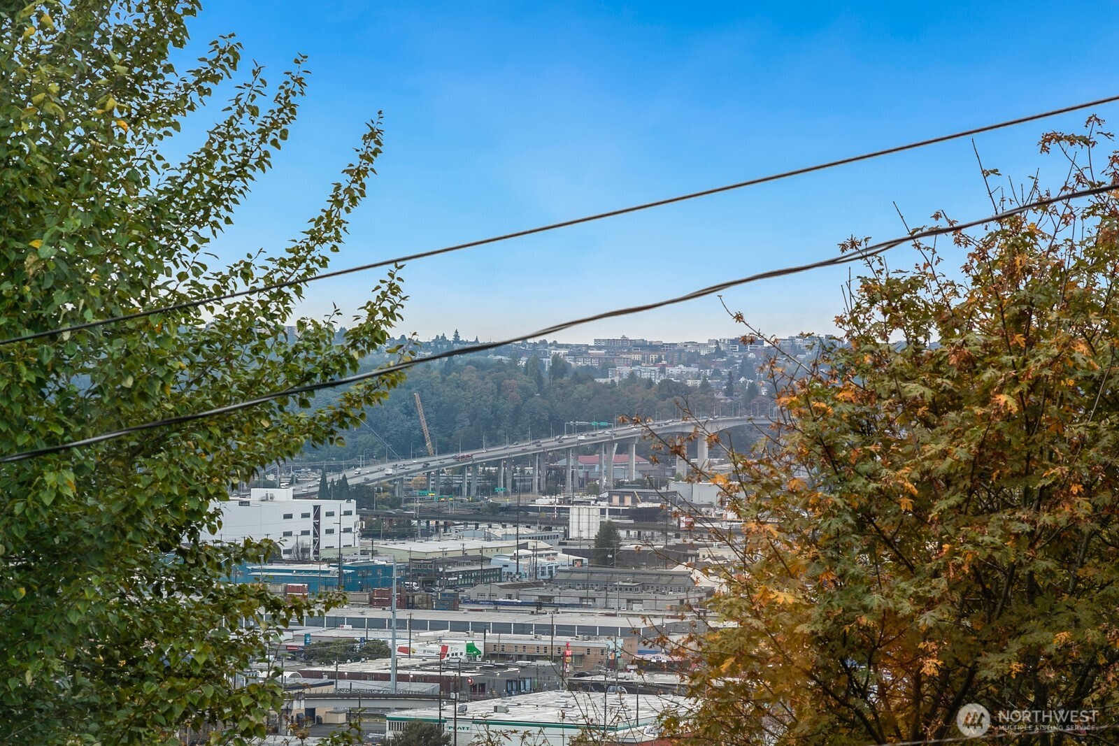 2408 13th Avenue South Seattle, WA 98144 - Photo 29 of 32 a view of a yard