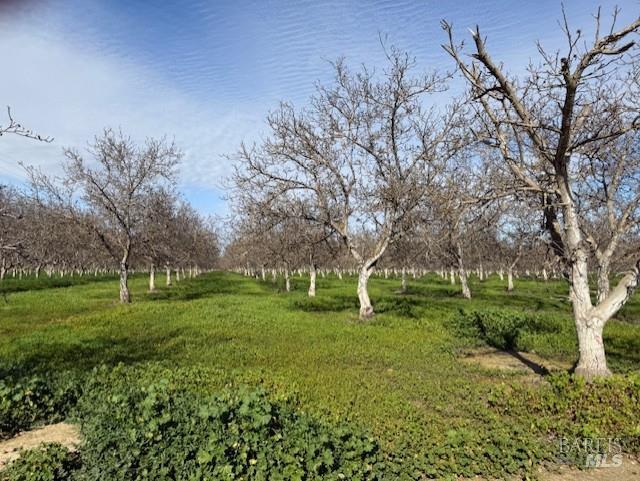 9415 Stevenson Bridge Road Winters, CA 95694 - Photo 5 of 15 a view of a garden with a tree
