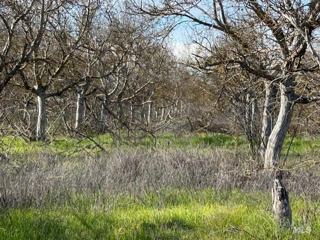 9415 Stevenson Bridge Road Winters, CA 95694 - Photo 6 of 15 a view of a yard