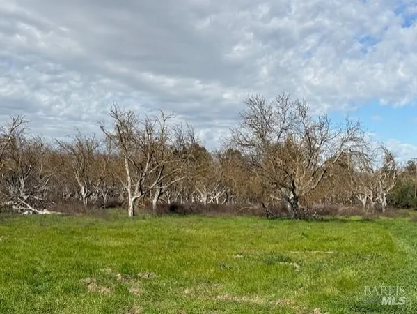 a view of yard with green space
