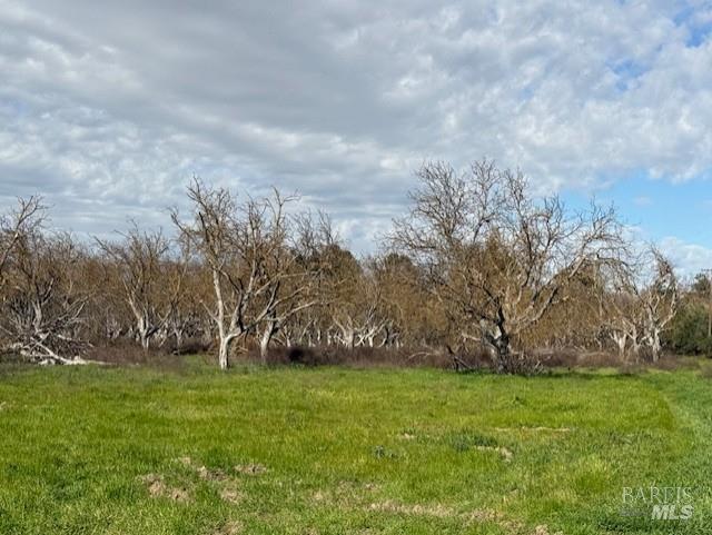 9415 Stevenson Bridge Road Winters, CA 95694 - Photo 7 of 15 a view of yard with green space