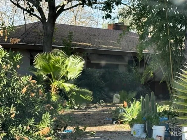 a backyard of a house with lots of green space
