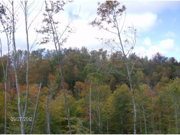 0 Horace Way Road Albany, VT 05820 - Photo 2 of 21 Gallery Image 2