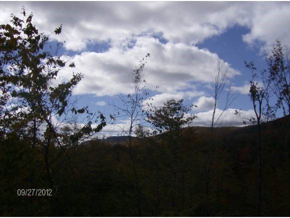 0 Horace Way Road Albany, VT 05820 - Photo 11 of 21 Gallery Image 11