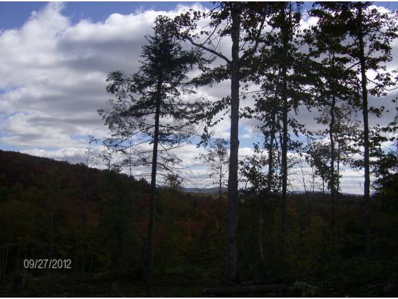 0 Horace Way Road Albany, VT 05820 - Photo 13 of 21 Gallery Image 13