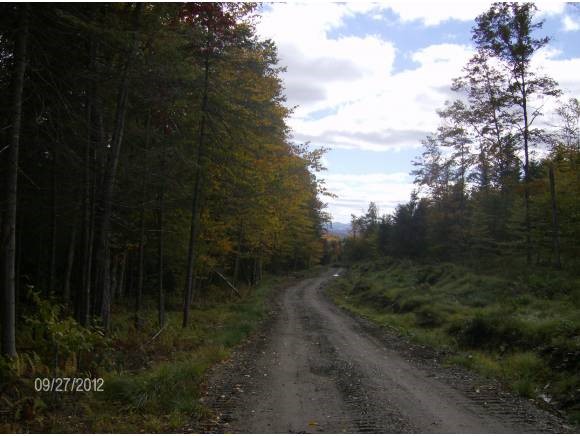 0 Horace Way Road Albany, VT 05820 - Photo 7 of 21 Gallery Image 7