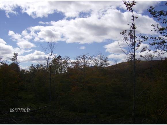 0 Horace Way Road Albany, VT 05820 - Photo 10 of 21 Gallery Image 10