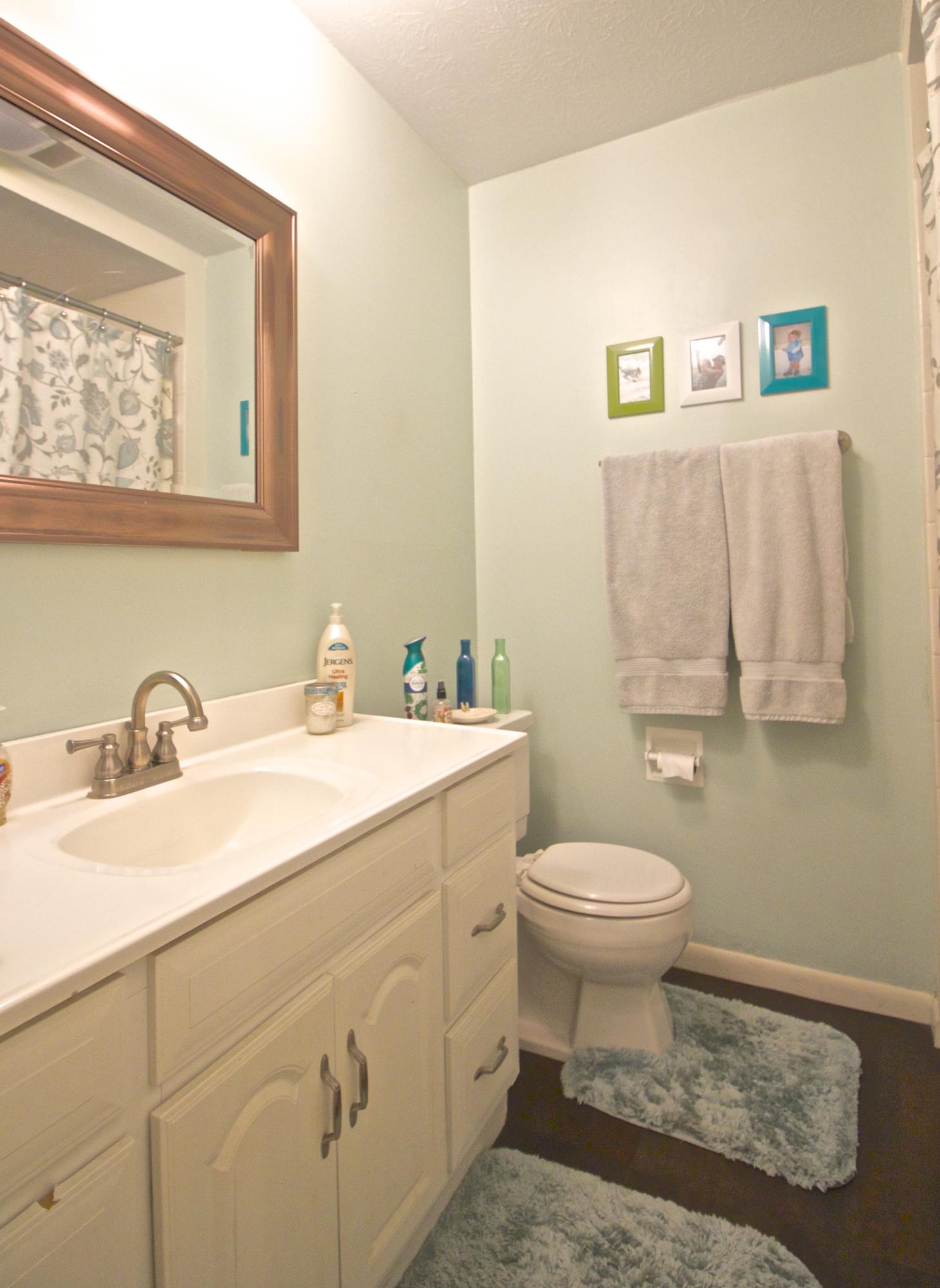 110 Newhaven Road Oak Ridge, TN 37830 - Photo 14 of 27 IMG_6526_2