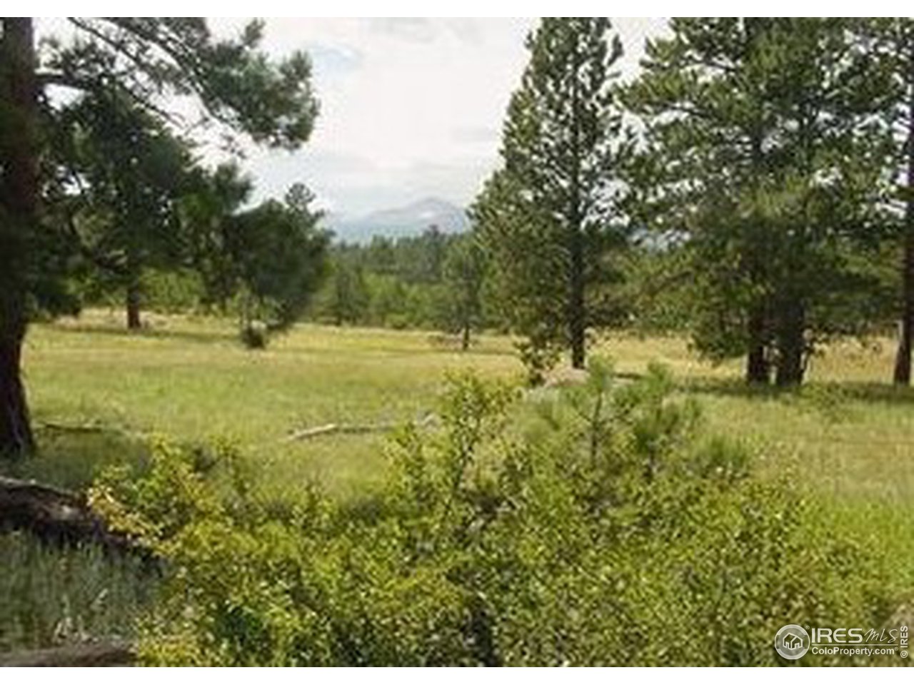 73 Sparn Way Ward, CO 80481 - Photo 1 of 1