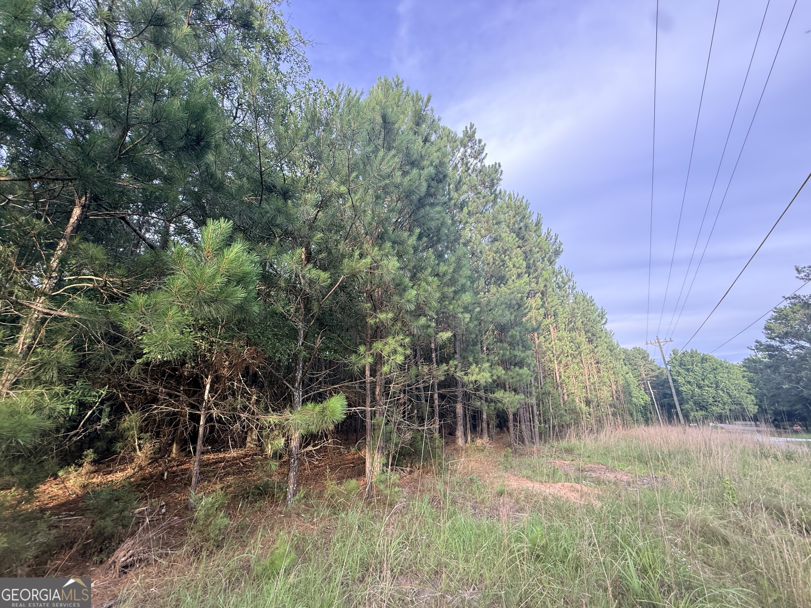 4 Ruckersville Elberton, GA 30635 - Photo 34 of 52