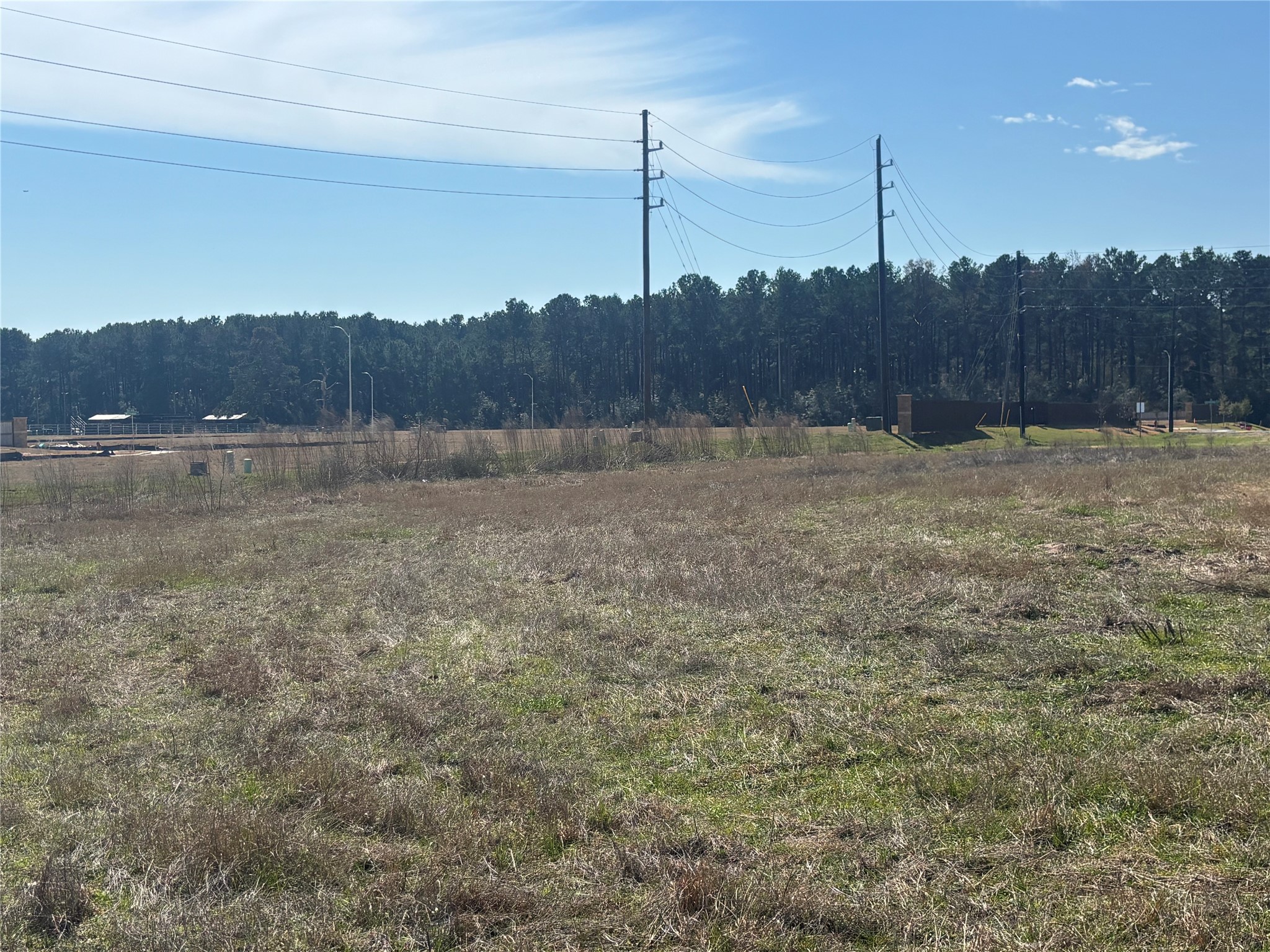 1706 Goodson Loop Pinehurst, TX 77362 - Photo 29 of 30