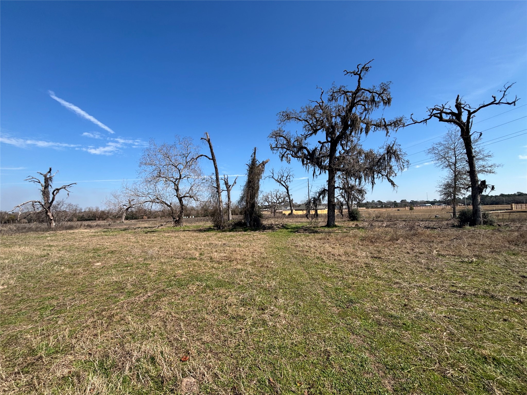 1706 Goodson Loop Pinehurst, TX 77362 - Photo 5 of 30