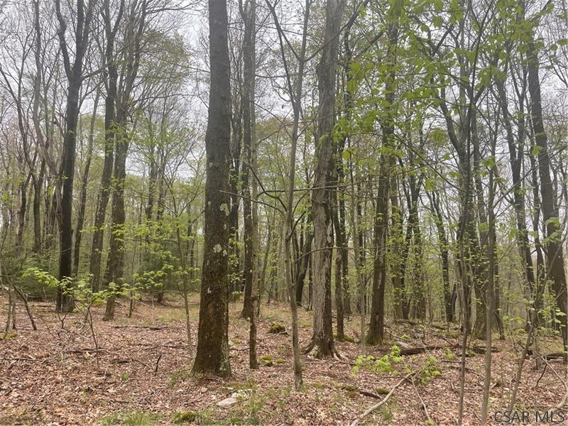 Vought Rock Road Garrett, PA 15542 - Photo 14 of 23 Gallery Image 14