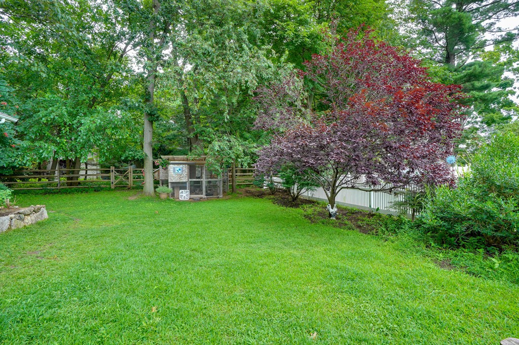 69 Dickerman Road Newton, MA 02461 - Photo 4 of 30