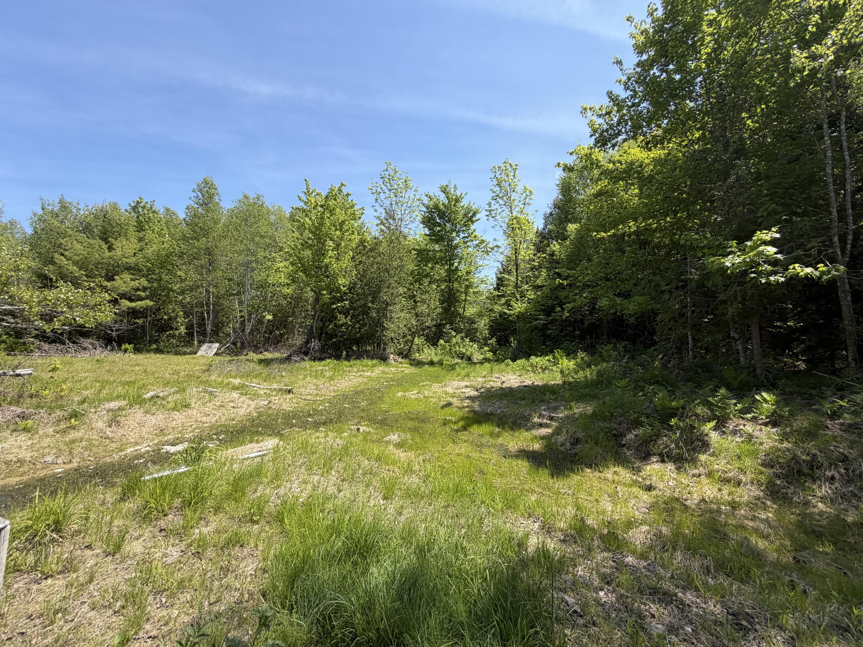 Lot 49 Independence Circle Springfield, ME 04487 - Photo 1 of 8 IMG_1932
