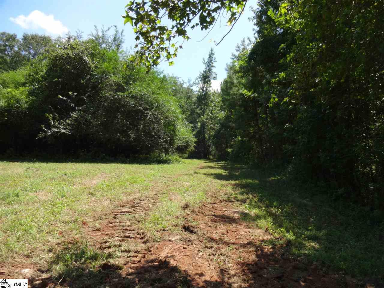 0 Liberty Highway Pendleton, SC 29670 - Photo 11 of 34